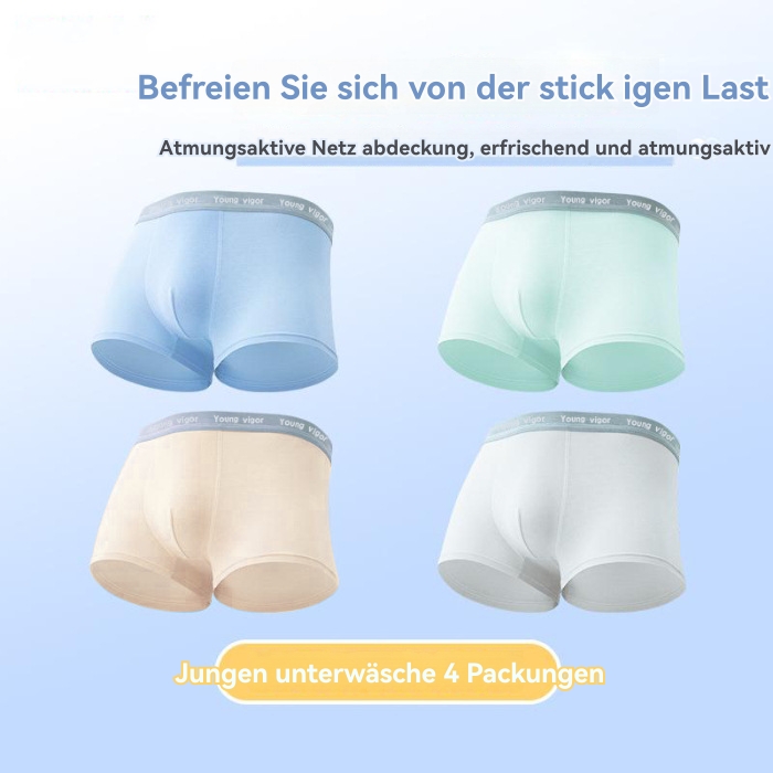 Männer Funktionsunterwäsche | Breeze Boxer Funktionsunterwäsche Funktionsunterwäsche