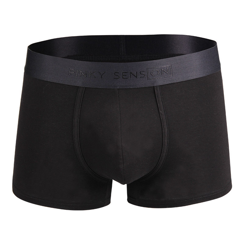 Männer Funktionsunterwäsche | Essential Boxer Briefs 6′ Funktionsunterwäsche Funktionsunterwäsche