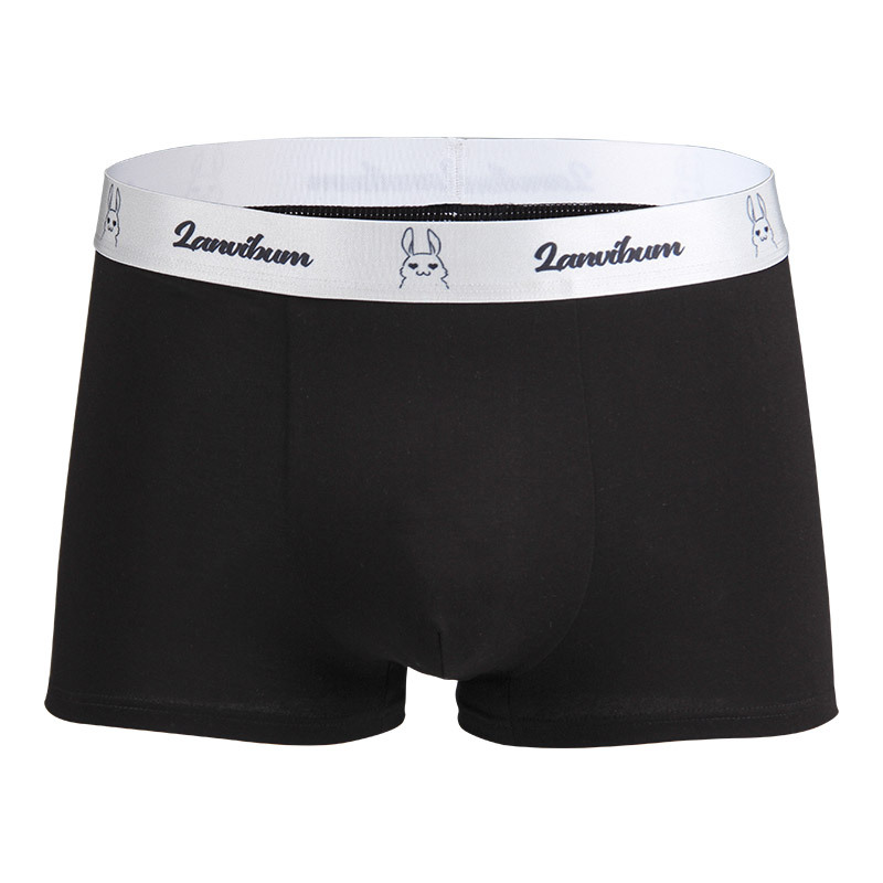 Männer Funktionsunterwäsche | Trunks Boxershort Funktionsunterwäsche Funktionsunterwäsche